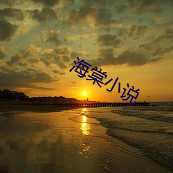 海棠小说