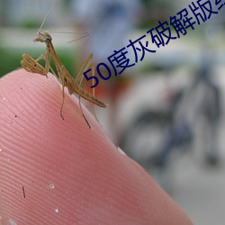 50度灰破解版绿(lǜ)巨(jù)人