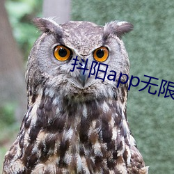 抖阳app无限破解版