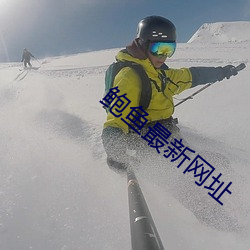 鲍(鮑)鱼(魚)最新(新)网址