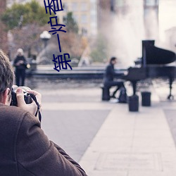 第一炉香小说