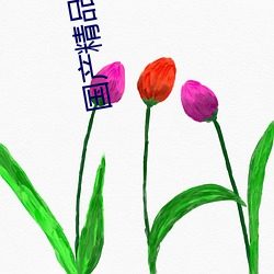 国(國)产精品无(無)码一区二区较多收藏