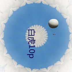 白虎10p