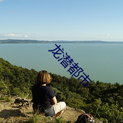 龙潜(qián)都市