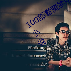 100部看(kàn)黄禁用免费小说(shuō)(找几本(běn)好看的小说