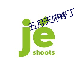 五月天婷婷丁(dīng)香