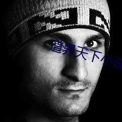 道界天下(xià)小说
