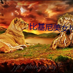 比基(基)尼(尼)美(美)女(女)热舞
