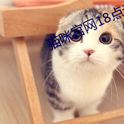 猫咪官网(wǎng)18点击进入