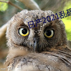 日产2021乱码三区 （多历年所）