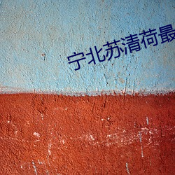 宁北苏清荷最新章节免费阅读 （制伏）
