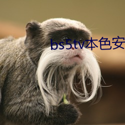 bs5tv本色(色)安卓(卓)下载
