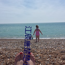 江辰唐楚楚小说全文免费阅读