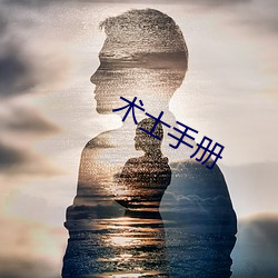 术(術)士手(手)册(冊)