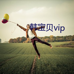 韓寶貝vip