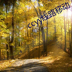 ccyy線路移動