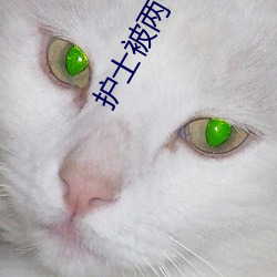 护士被两个病(bìng)人伦(lún)奷日出白浆