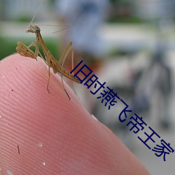 金年会 | 诚信至上金字招牌