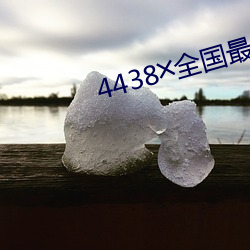 4438╳全(全)国(國)最大色(色)倩(倩)网址