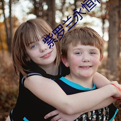 紫罗兰(蘭)永恒花园小说