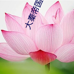 大秦帝国第一部51集免费观看
