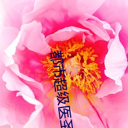都市超级医圣