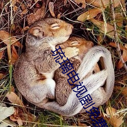 琉璃电视剧免费观看完整版