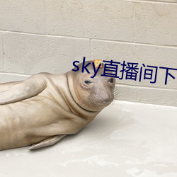 sky直播間下載sky466