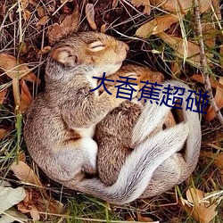 大香蕉超碰