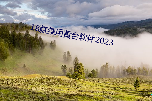 18款禁用黄台软件2023