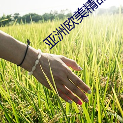 凯时|AG(AsiaGaming)优质运营商