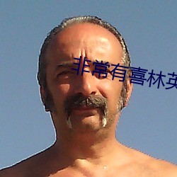 非常有喜林英雄保安