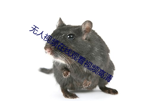 无人视频在线观看视频高清
