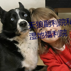 天狼副利院(yuàn)私人永久伊甸樱花(huā)md湿地福利院(yuàn)