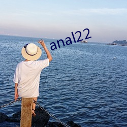 anal22 （应从）