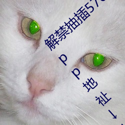 解禁抽插(chā)576794翹(qiào)臀46710下app兔費看 app地祉↓↓↓ http://wgbke4.us備