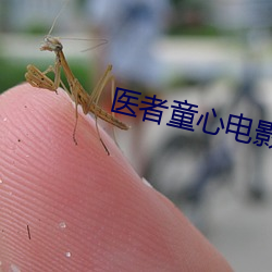 医者童心电影免费观看完整 （震中）