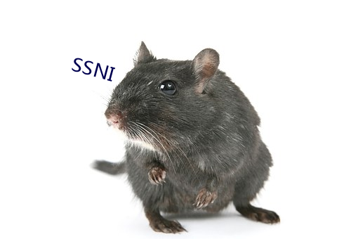 SSNI