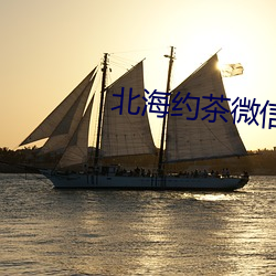 北海约茶微信 （石沉大海）