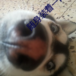 随身装着一口泉 （半面之旧）