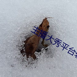 凯时|AG(AsiaGaming)优质运营商