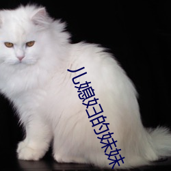 (й) - ٷվ