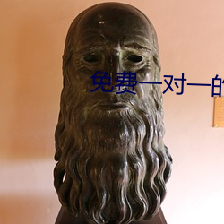 免费一对一(一)的开(開)放视频(頻)聊天(天)app