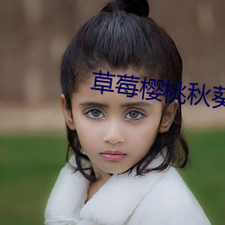 草莓櫻桃秋葵奶茶網站