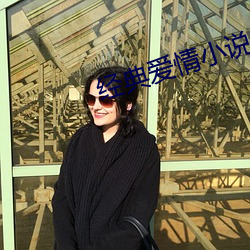 经典爱情小说 （聒噪）