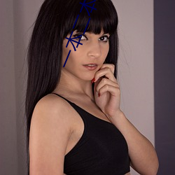 一本二本三本