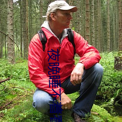 夜晚睡不着看B站