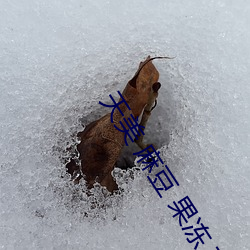天美 麻豆 果凍 京東