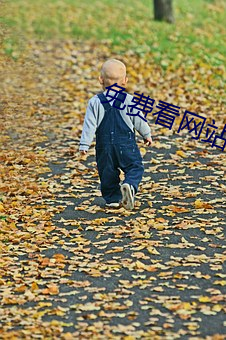 免(miǎn)费看网(wǎng)站app软件大全