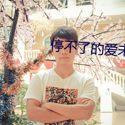 停不了的爱未删减版在线观